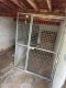 FIVE DOG KENNELS LEADING INTO COMMUNAL DOG RUN